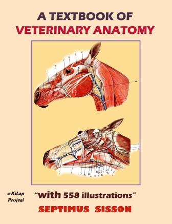 A TextBook of Veterinary Anatomy